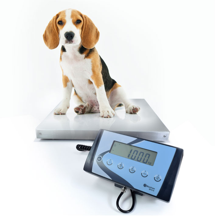 Vægt til dyr - Hundevægt 15 kg AIS