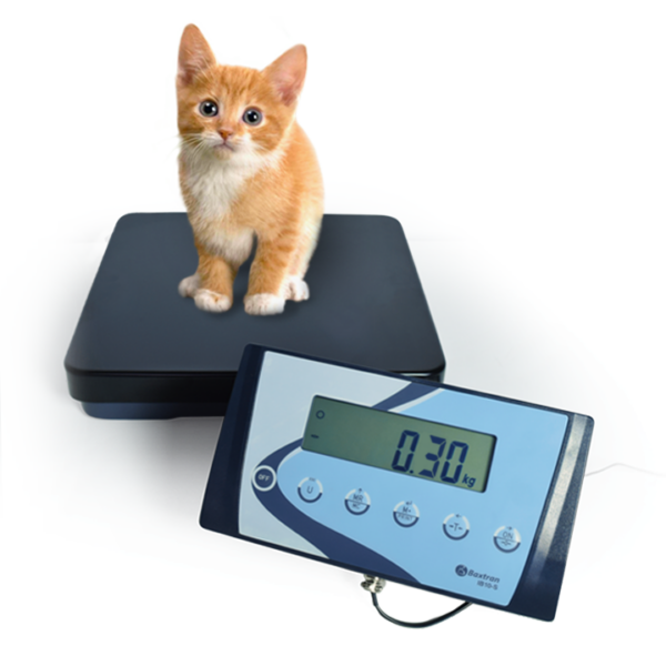 Pakkevægt Baxtran 15 kg APS - Image 2